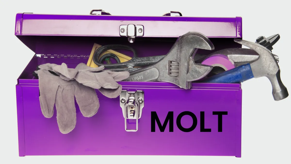 MOLT: A Toolkit for Migrations You Can Trust