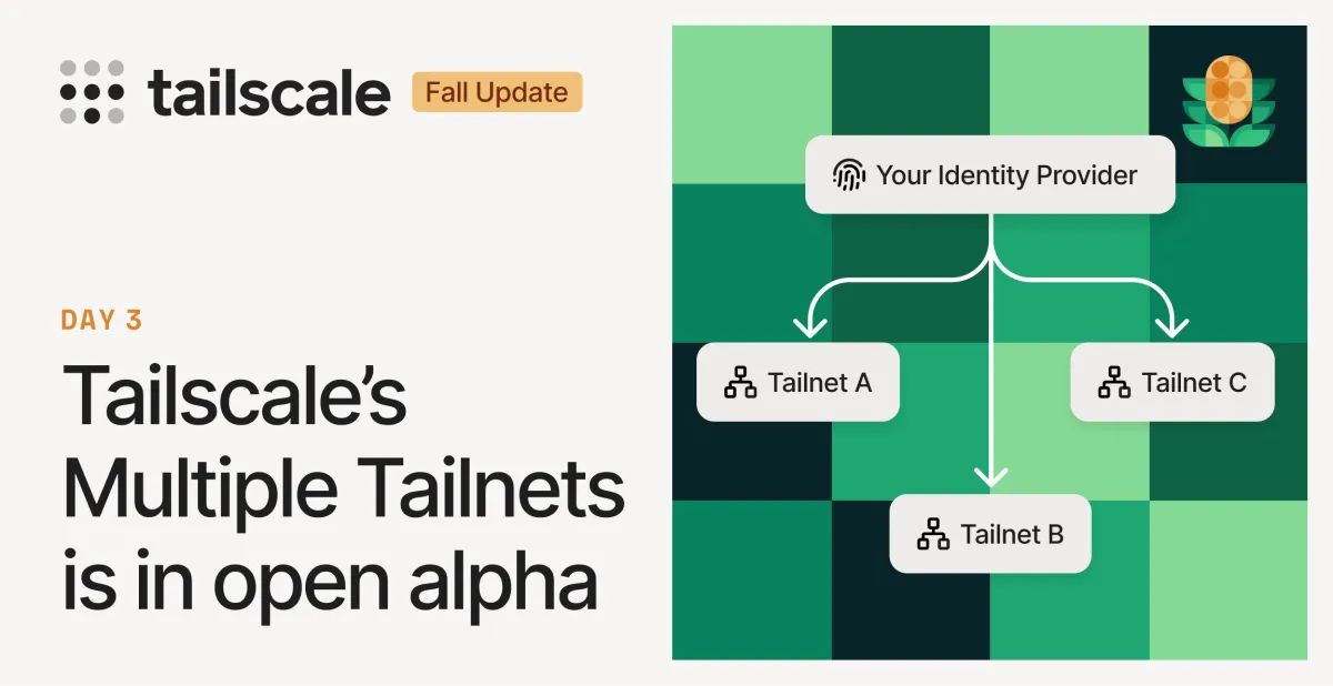 One organization, multiple tailnets