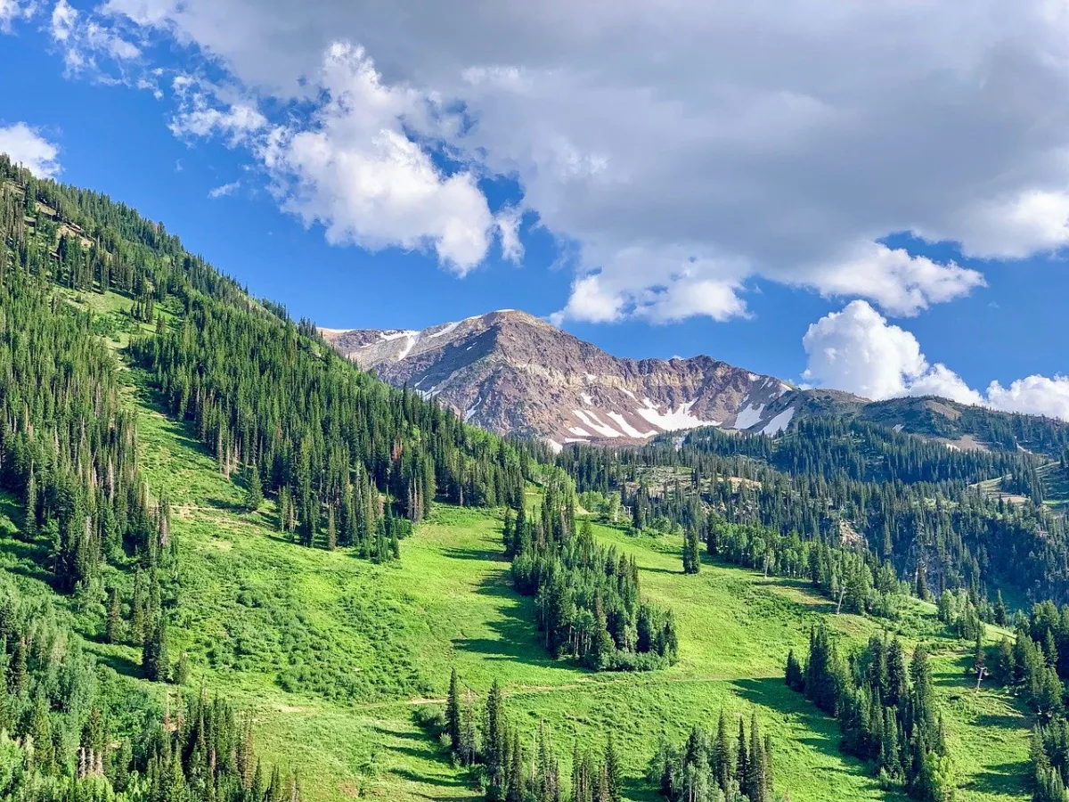 GDAL: The Open Source Technology Behind Google Maps
