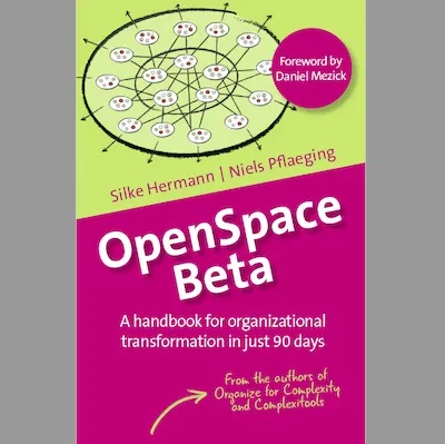 Q&A on the Book OpenSpace Beta - A Handbook for Organizational Transformation in Just 90 Days