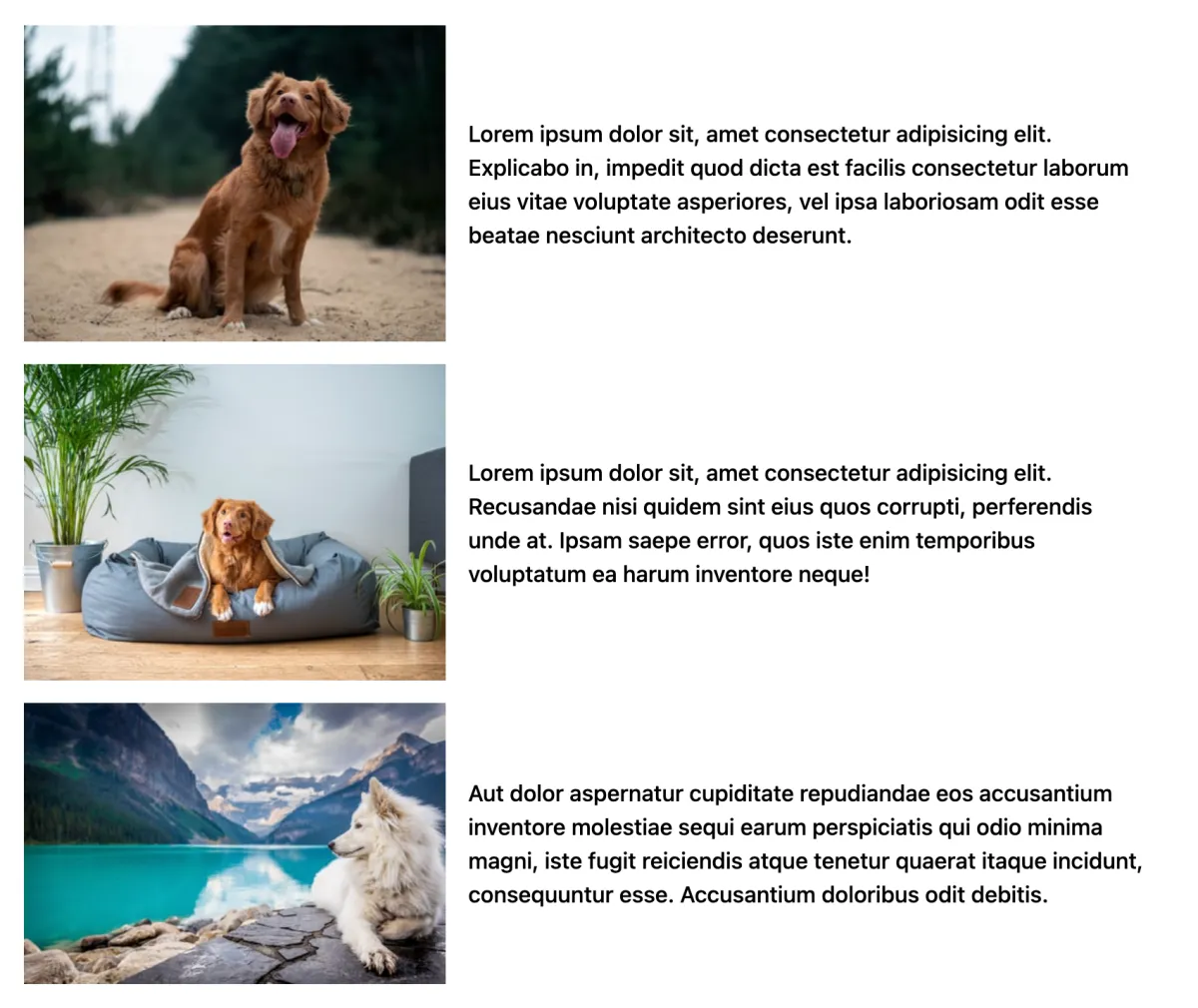 How do you make a layout with pictures down one side of a page matched up with paragraphs on the