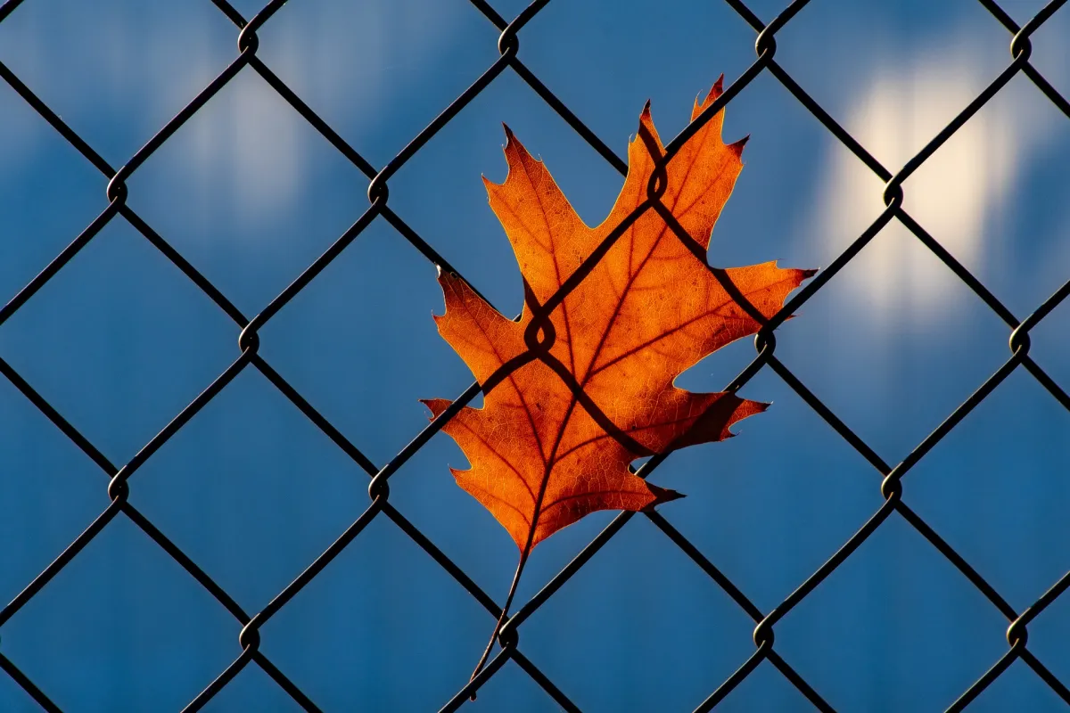 Microservices Transformed DevOps