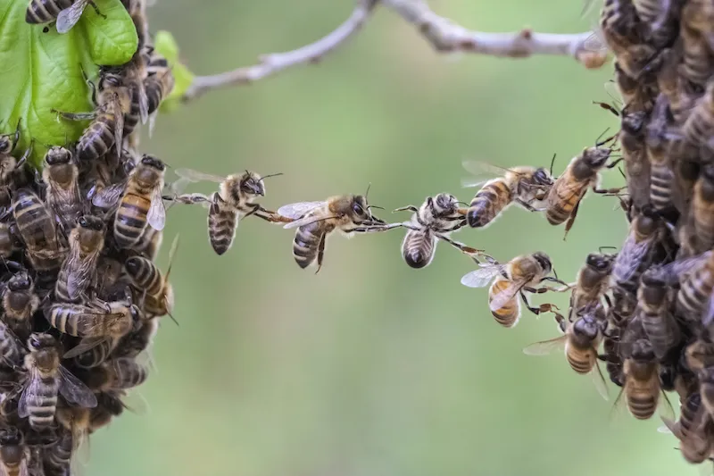 How to Make Cross-Functional Operations a Team Effort