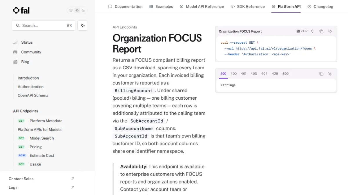 Organization FOCUS Report - fal